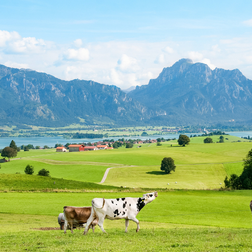 camping allgäu